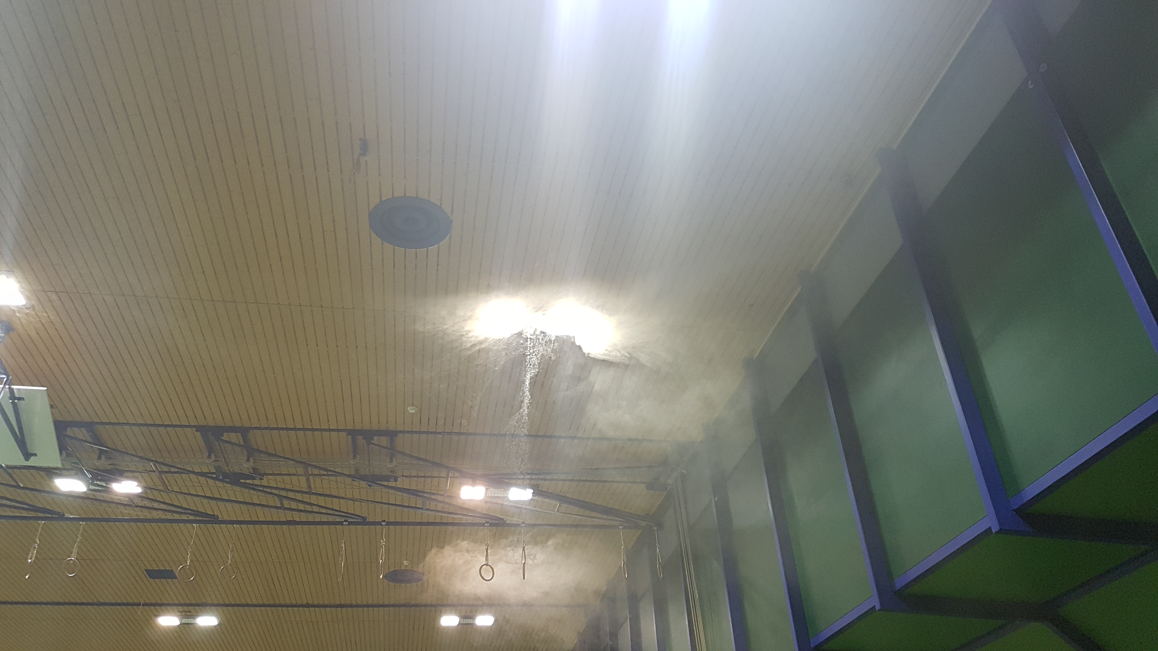 brand rappi