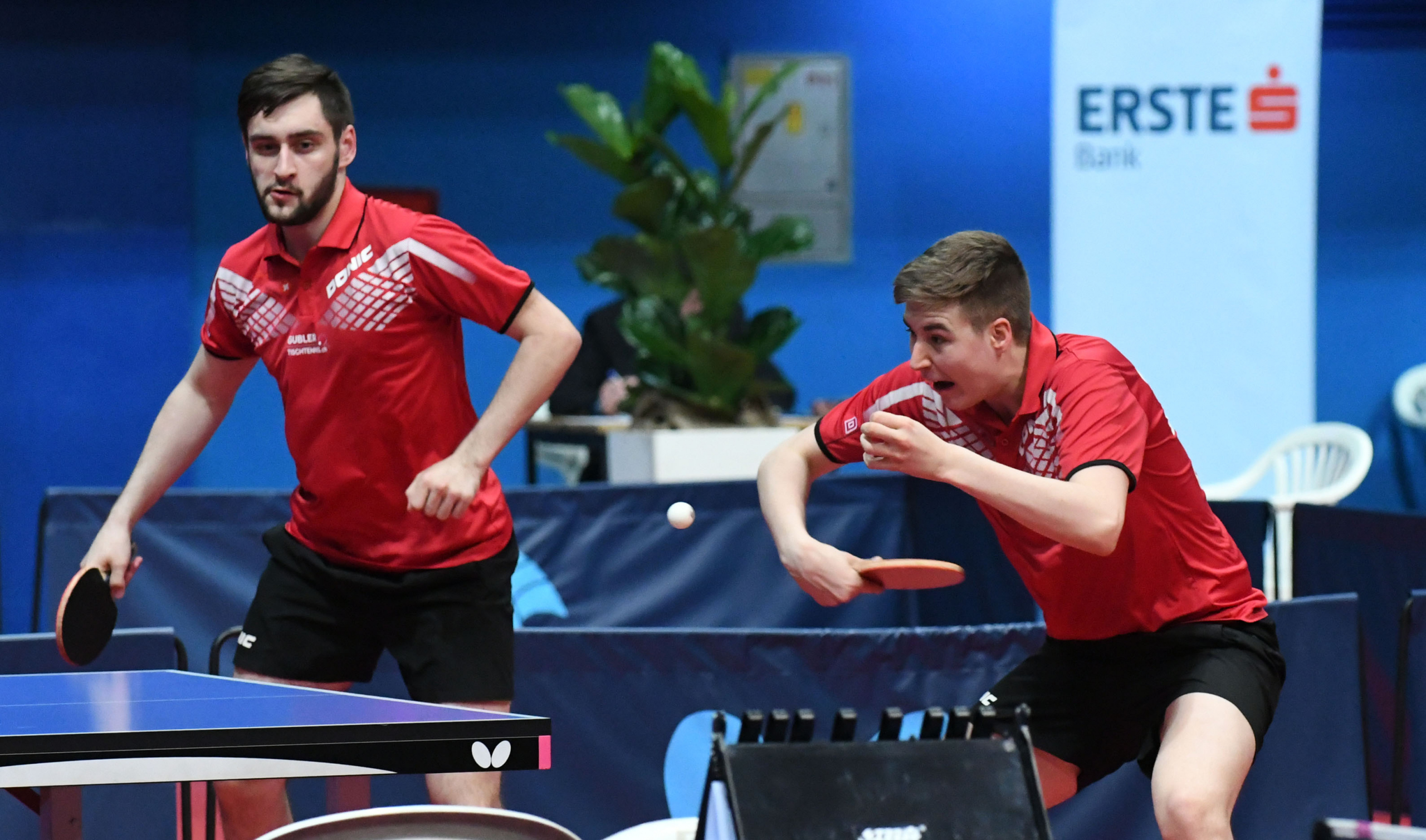 40686455164 a85102085c o