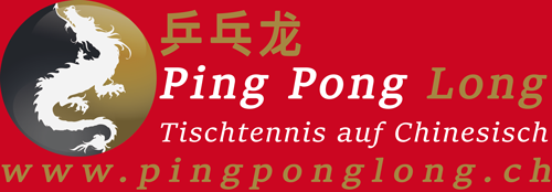 logo ping pong long