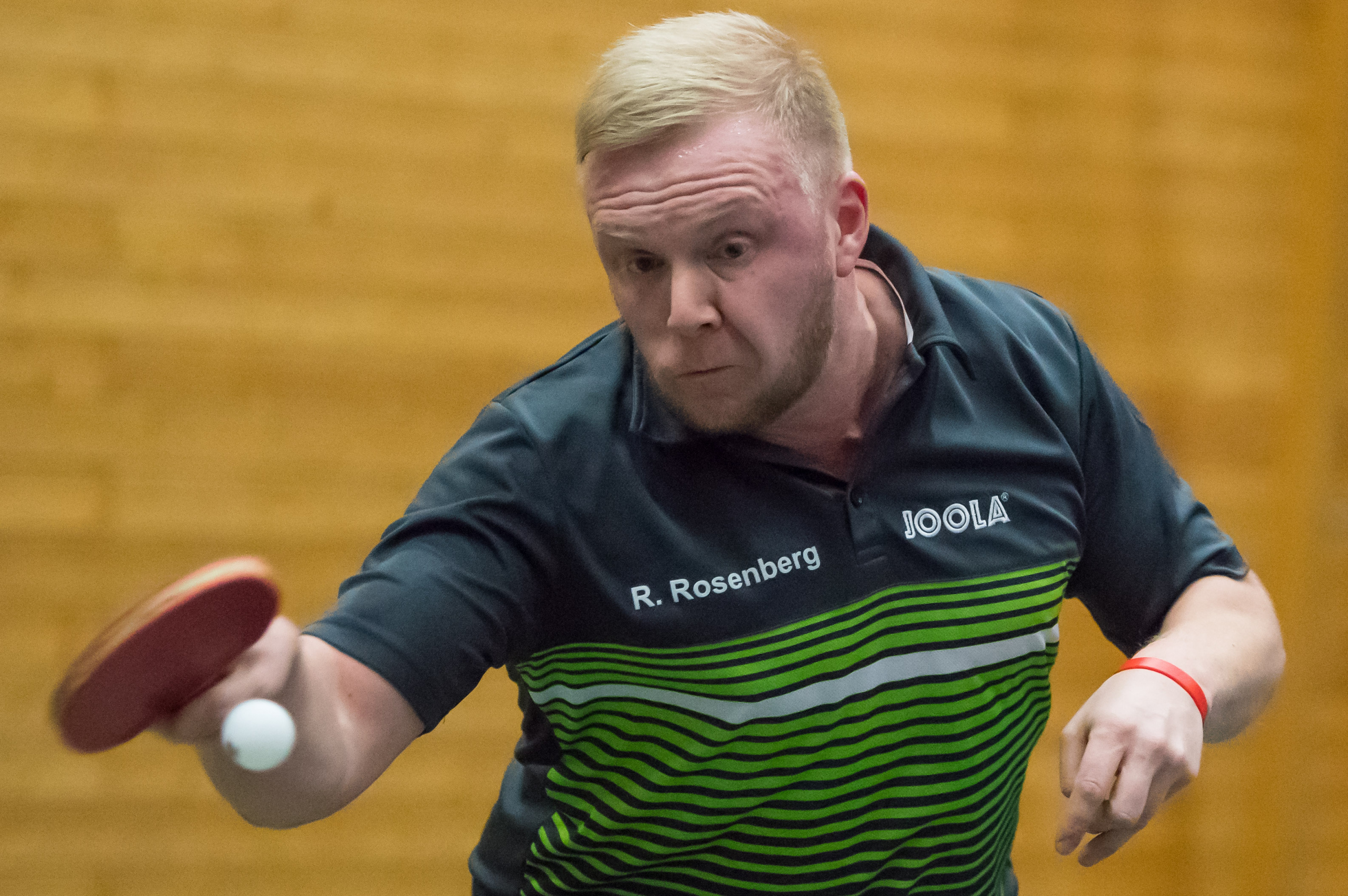 Rosenberg Sieger Seeland Cup 2019